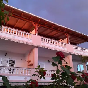 Balen , Barbat na Rabu Croatia